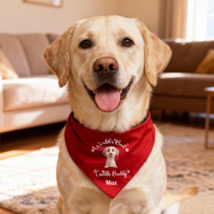 Dog Bandana