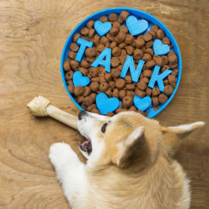 Dog Bowl