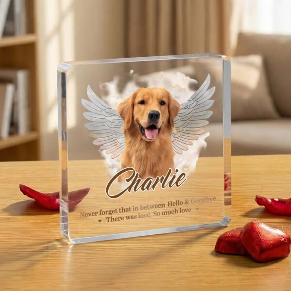 Personalized Angel Wings Pet Photo Acrylic Ornament with Name and Text Home Decor Sympathy Memorial Gift for Pet Owner Lover